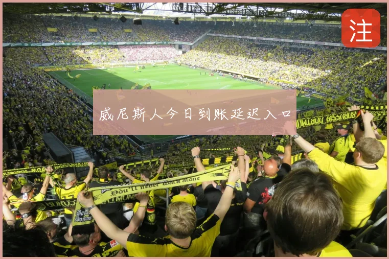 威尼斯人今日到账延迟入口